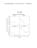 Pharmaceutical Compositions for Treatment of HCV Patients that are Poor-Responders to Interferon diagram and image