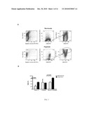 Mesenchymal Stem Cells Grown Under Hypoxic Conditions: Compositions, Methods and Uses Therefor diagram and image