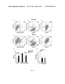 Mesenchymal Stem Cells Grown Under Hypoxic Conditions: Compositions, Methods and Uses Therefor diagram and image