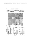 Mesenchymal Stem Cells Grown Under Hypoxic Conditions: Compositions, Methods and Uses Therefor diagram and image