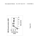 NLRR-1 ANTAGONISTS AND USES THEREOF diagram and image