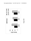 NLRR-1 ANTAGONISTS AND USES THEREOF diagram and image