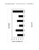 NLRR-1 ANTAGONISTS AND USES THEREOF diagram and image