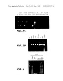 METHODS AND COMPOSITONS FOR ANTISENSE VEGF OLIGONUCLEOTIDES diagram and image