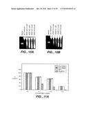 METHODS AND COMPOSITONS FOR ANTISENSE VEGF OLIGONUCLEOTIDES diagram and image