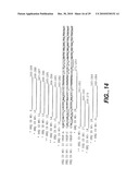 METHODS AND COMPOSITONS FOR ANTISENSE VEGF OLIGONUCLEOTIDES diagram and image