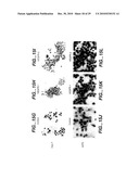 METHODS AND COMPOSITONS FOR ANTISENSE VEGF OLIGONUCLEOTIDES diagram and image