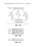 METHODS AND COMPOSITONS FOR ANTISENSE VEGF OLIGONUCLEOTIDES diagram and image