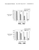 METHODS AND COMPOSITONS FOR ANTISENSE VEGF OLIGONUCLEOTIDES diagram and image