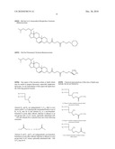  AMPHOTERIC LIPOSOMES COMPRISING NEUTRAL LIPIDS diagram and image