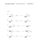 METHODS AND COMPOSITIONS FOR IMPROVED THERAPEUTIC EFFECTS WITH siRNA diagram and image