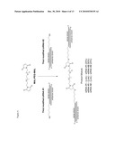 METHODS AND COMPOSITIONS FOR IMPROVED THERAPEUTIC EFFECTS WITH siRNA diagram and image