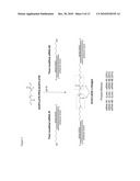 METHODS AND COMPOSITIONS FOR IMPROVED THERAPEUTIC EFFECTS WITH siRNA diagram and image