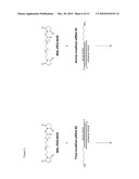 METHODS AND COMPOSITIONS FOR IMPROVED THERAPEUTIC EFFECTS WITH siRNA diagram and image