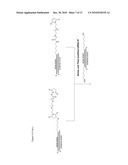METHODS AND COMPOSITIONS FOR IMPROVED THERAPEUTIC EFFECTS WITH siRNA diagram and image
