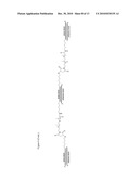 METHODS AND COMPOSITIONS FOR IMPROVED THERAPEUTIC EFFECTS WITH siRNA diagram and image