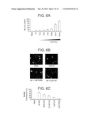 PHENAZINE DERIVATIVES AND USES THEREOF diagram and image