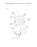 Oral delivery of tetanus toxoid diagram and image