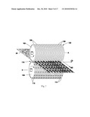 TUFTED FIBROUS WEB diagram and image