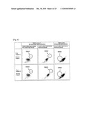 REAGENT KIT FOR SAMPLE ANALYSIS AND SAMPLE ANALYSIS METHOD diagram and image