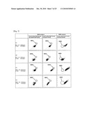 REAGENT KIT FOR SAMPLE ANALYSIS AND SAMPLE ANALYSIS METHOD diagram and image