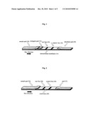 LATERAL FLOW ASSAY SYSTEM AND METHODS FOR ITS USE diagram and image