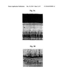 LATERAL FLOW ASSAY SYSTEM AND METHODS FOR ITS USE diagram and image