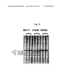 LATERAL FLOW ASSAY SYSTEM AND METHODS FOR ITS USE diagram and image