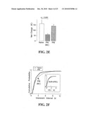 METHOD FOR IDENTIFYING COMPOUNDS FOR TREATMENT OF PAIN diagram and image