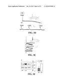 METHOD FOR IDENTIFYING COMPOUNDS FOR TREATMENT OF PAIN diagram and image