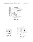 METHOD FOR IDENTIFYING COMPOUNDS FOR TREATMENT OF PAIN diagram and image