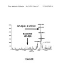 ACTIVATED LIPASES AND METHODS OF USE THEREFOR diagram and image