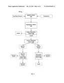 SILICEOUS PARTICLES diagram and image