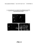 CHIMERIC GFP-AEQUORIN AS BIOLUMINESCENT CA++ REPORTERS AT THE SINGLE CELL LEVEL diagram and image