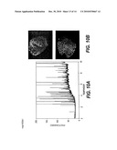 CHIMERIC GFP-AEQUORIN AS BIOLUMINESCENT CA++ REPORTERS AT THE SINGLE CELL LEVEL diagram and image