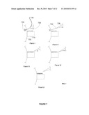 Sequencing Nucleic Acid Polymers with Electron Microscopy diagram and image