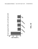 Cell Display Of Antibody Libraries diagram and image