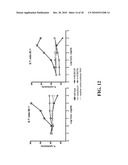 Cell Display Of Antibody Libraries diagram and image