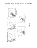 Cell Display Of Antibody Libraries diagram and image