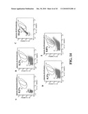 Cell Display Of Antibody Libraries diagram and image