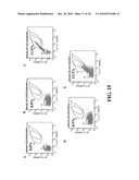 Cell Display Of Antibody Libraries diagram and image