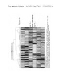 siRNA Targeting Survivin diagram and image