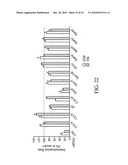 siRNA Targeting Survivin diagram and image