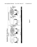 Damage-Free High Efficiency Particle Removal Clean diagram and image