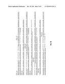 ANTI-ANGIOGENESIS FUSION PROTEINS diagram and image