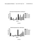 Variants of C-Type Natriuretic Peptides diagram and image