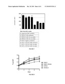 Variants of C-Type Natriuretic Peptides diagram and image