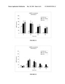 Variants of C-Type Natriuretic Peptides diagram and image