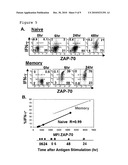 ZAP-70 AS PREDICTOR AND MODULATOR OF EFFECTOR FUNCTION OF T CELLS diagram and image