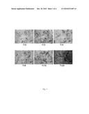 Use of Methyl Cinnamate in the Inhibition of Candida Albicans Biofilms diagram and image